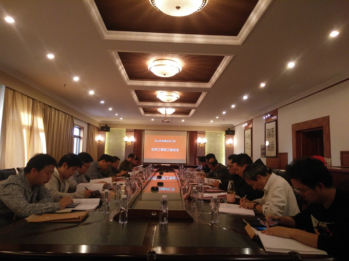 寶山區(qū)海塘達(dá)標(biāo)工程順利通過完工驗收